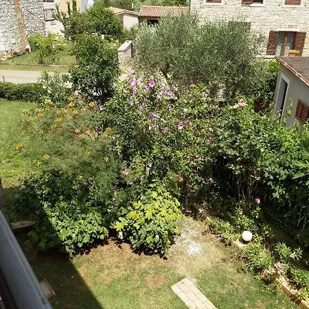 Happy Holiday home Petrovija